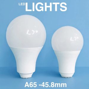 BULB BODY A65 & A80